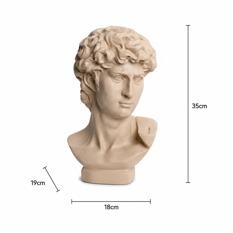 Beige Neo-Classical Bust Sculpture – Resin Decorative Accent , 34.98cm H x 17.98cm W x 17.98cm D