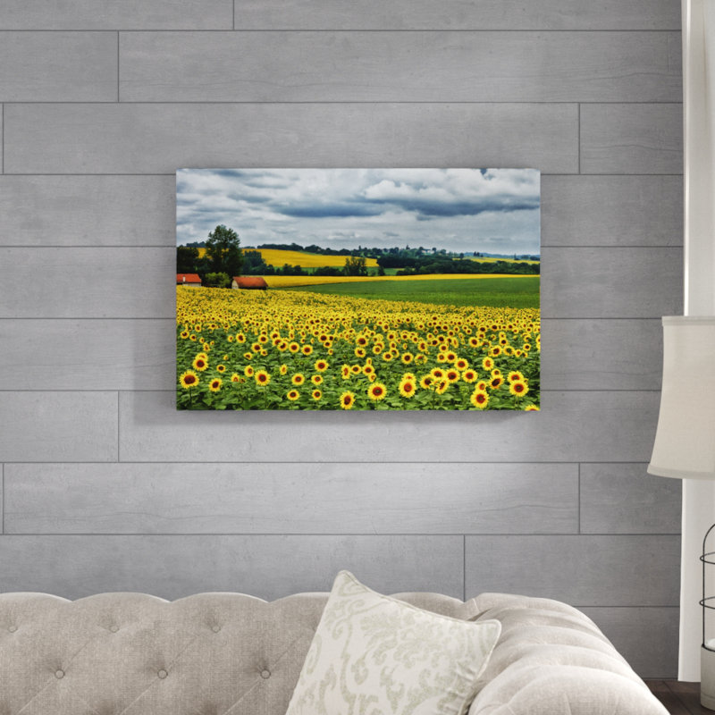Pastoral Countryside IV by Colby Chester - Photograph Print, 51cm H x 76cm W, Wrapped Canvas