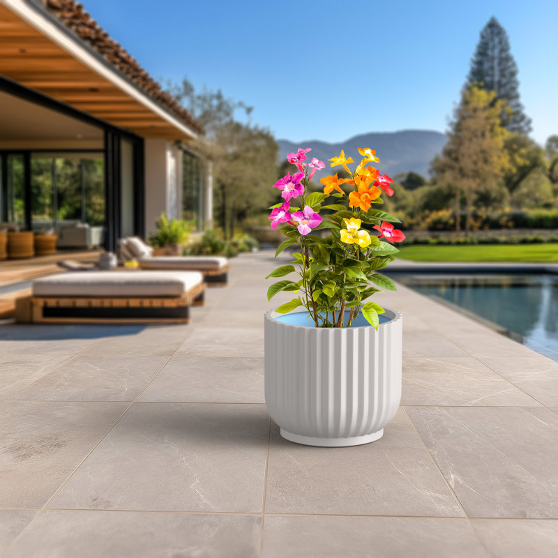 11,5 po Pot à fleurs rond en béton moyen gris anthracite (intérieur de qualité supérieure) avec trous de drainage