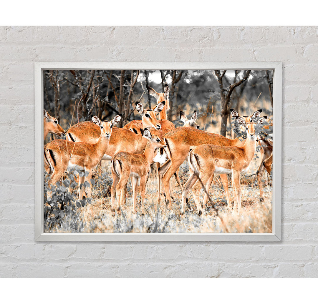 Herd Of Deer - Einzelner Bilderrahmen Kunstdrucke auf Leinwand