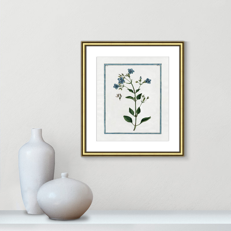 Colombe Soft Botanical I - Art encadré avec fond perdu, Cadre doré, L 14,25 po x H 16,25 po