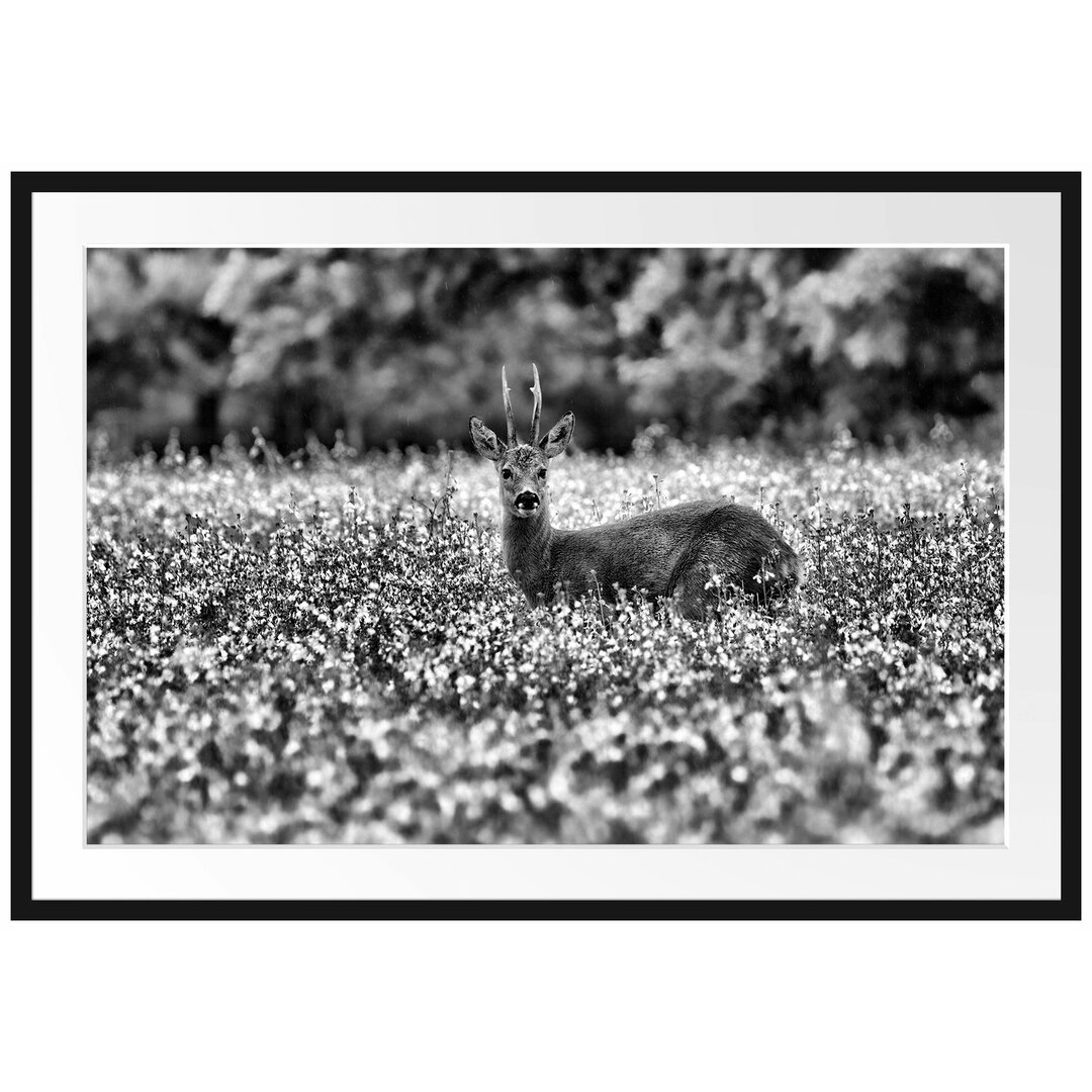 Gerahmtes Poster Junger Hirsch auf Wildwiese