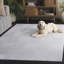 Tapis ivoire Saylor 118-1904699613