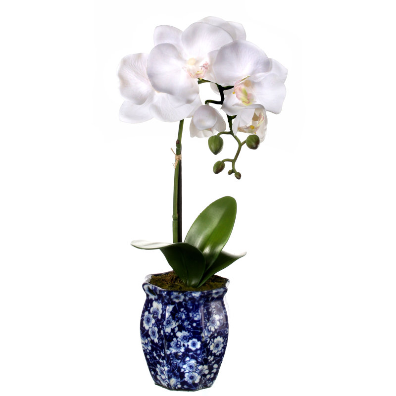 Fabric Orchids Arrangement in Pot, White