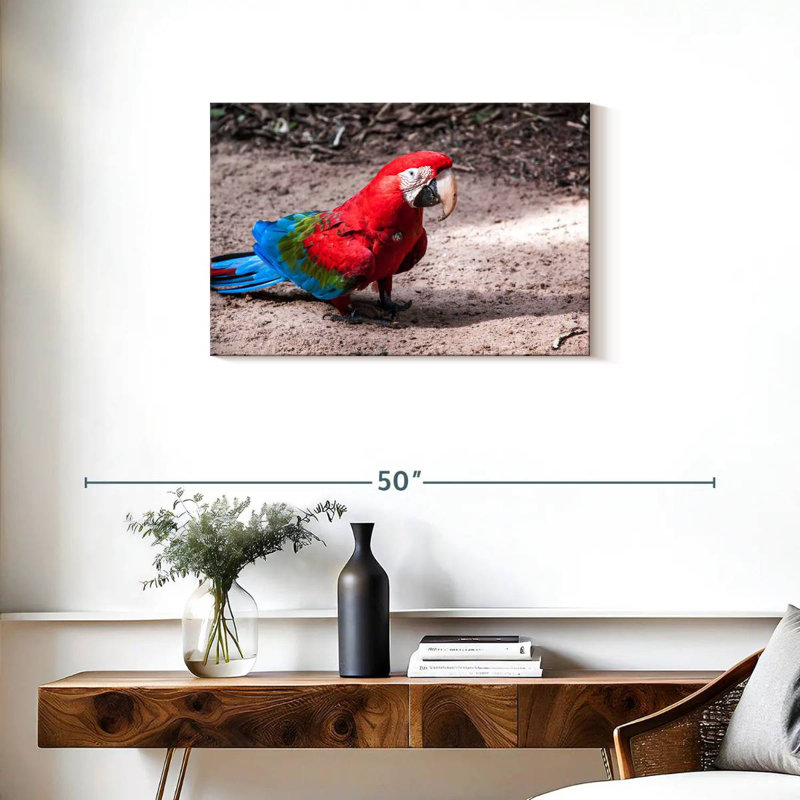 Brampt Brazilian Red Macaw, 20'' H x 30'' W