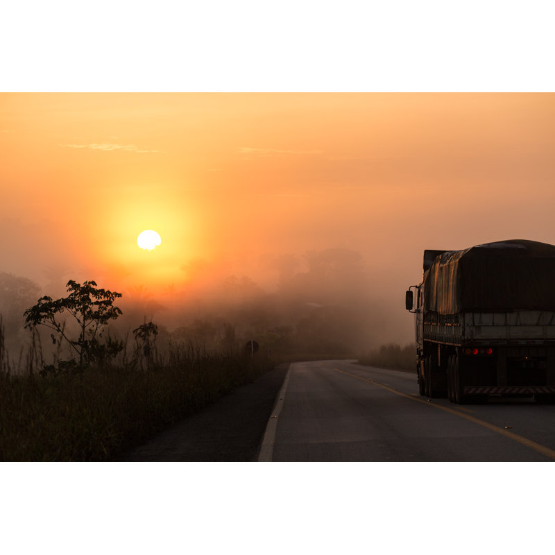 Foggy Landscape, RondÃ´nia by Roman_Rahm - Wrapped Canvas Print, 30cm H x 46cm W