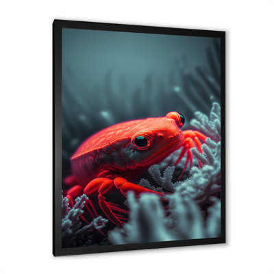 " Red Deepsea Crab In Red And Black V "