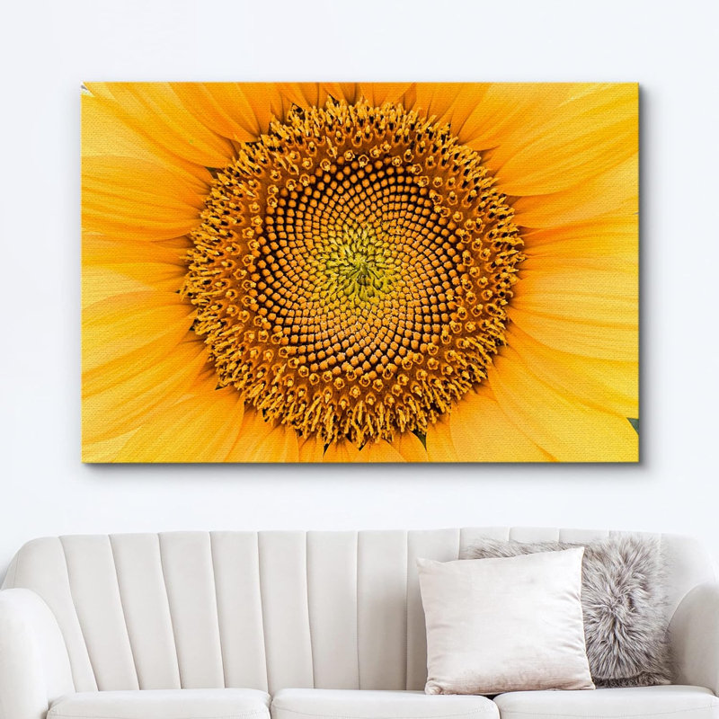 Tournesol "Gros plan détail tournesol d'été" sur, H 24 po x l 36 po