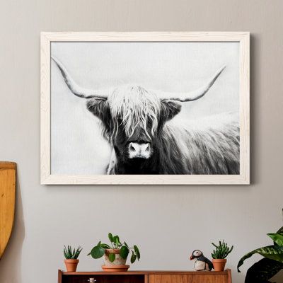 " Highland Longhorn "