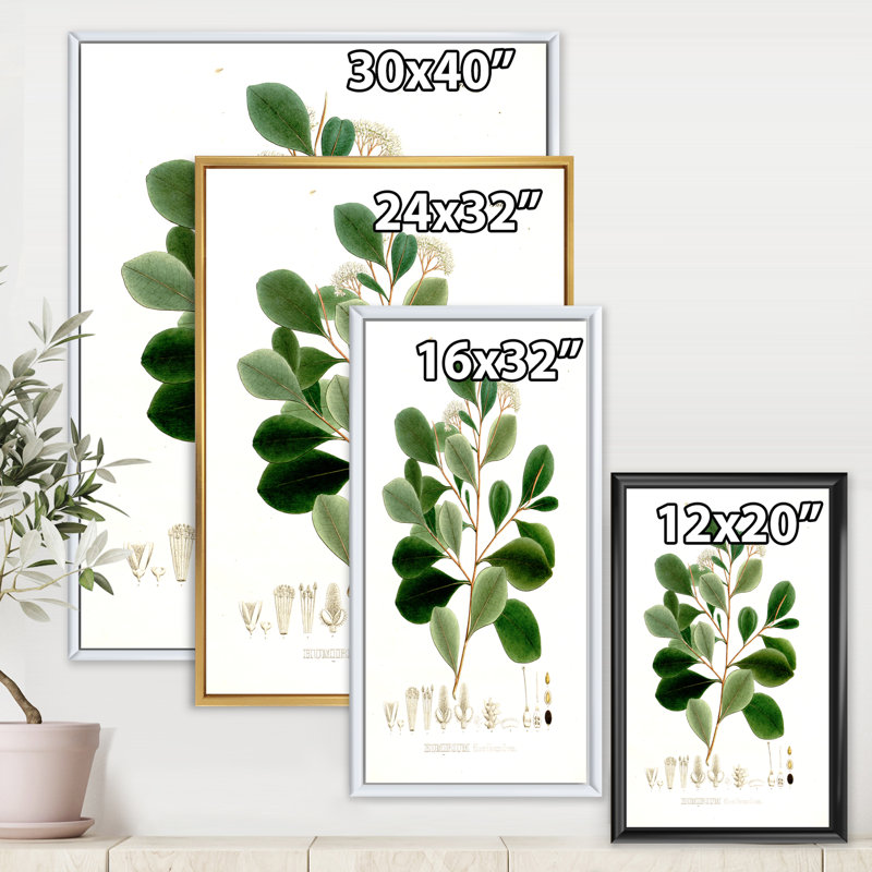 Vintage Botanicals IV - peinture sur toile, Cadre flottant blanc, H 32 po x l 24 po x P 1 po