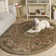 Allister Classic Hand Tufted Wool Oriental Rug