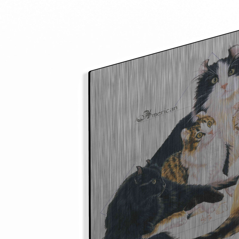 American Curl par Barbara Keith - reproduction sur métal, L 12 po x H 12 po x P 0,13 po
