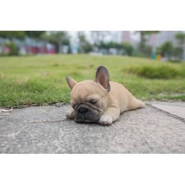 Hi-Line Gift 7 Sitting Sleepy Bulldog Puppy Garden Statue
