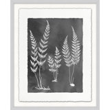 Fernspiration Gray 11' Framed Graphic Art Print on Glass
