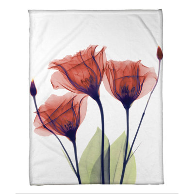 Red Gentian X-Ray Flowers Standard Throw Blanket
