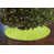 Vert lime
