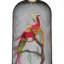 Curio 1 - Light Pendant