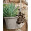 Gerth Animals UV Resistant Stone Garden Statue