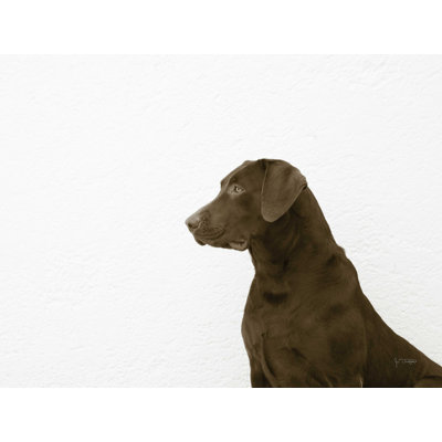 «I See You Crop» par Jim Dratfield - reproduction d'art sur toile tendue