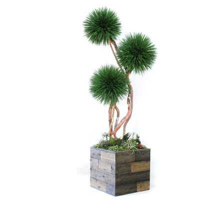 Faux Bonsai Tree in Wood Pot