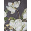 31.5" X 47" Wall Decor - Home For Dining Room Natural Elegance /Single Option Available Microfiber Gold Bordering Botanical Prints Decoration Office Space Sophisticated Design Accentuation