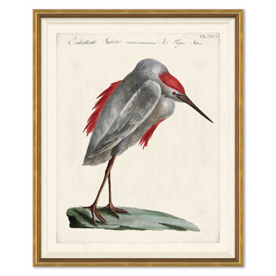 Odd Birds Giclee Print