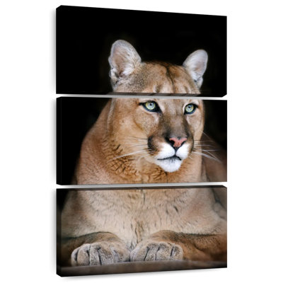 Brampt Majestic Wild Cat