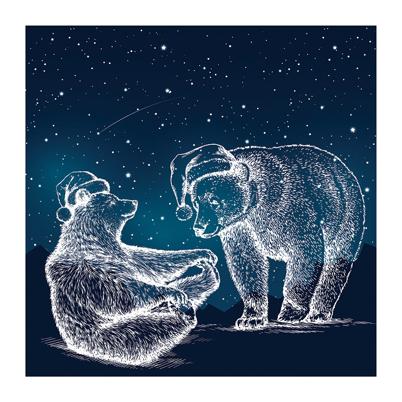 Vandergriff Matte Wall Mural, 208 x 146cm