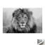 Print on Canvas-461351407-461351398