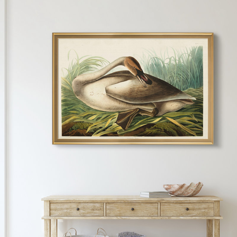 Trumpeter Swan - reproduction d'art sur toile, H 30,5 po x l 42,5 po x P 1,5 po, Doré