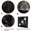 Portrait de lion noir majestueux - décoration murale animal lion-313558448-313558462