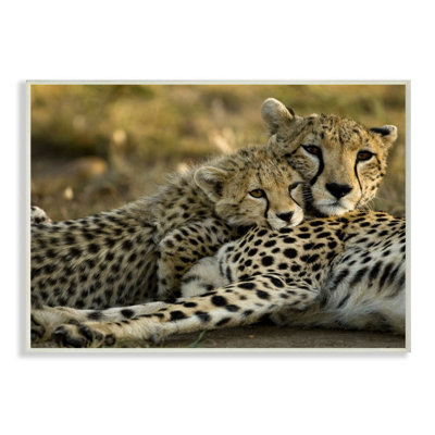 «Cheetah Family Mother With Cub» par Joe Mcdonald / © Danitadelimont.Com - reproduction de photo