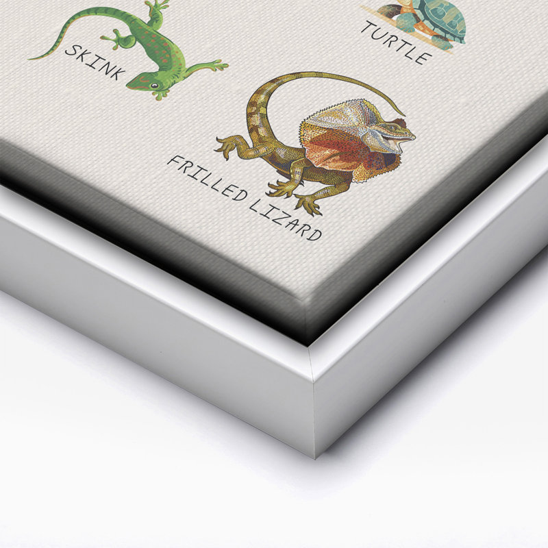 Les reptiles, Canvas, White Framed, 16"H x 20"W