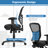 Ivelisse Mesh Task Chair-828780767