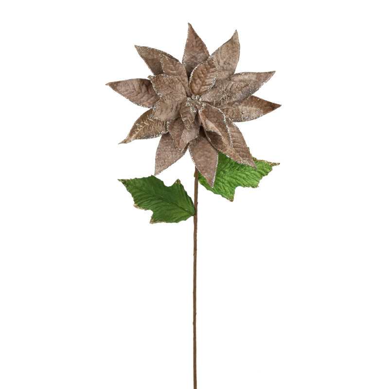 Primrue 24" Artificial Mocha Polyester Poinsettia Stem, Pack Of 3, Mocha