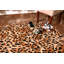 Tapis beige / brun Eagletown-8280386