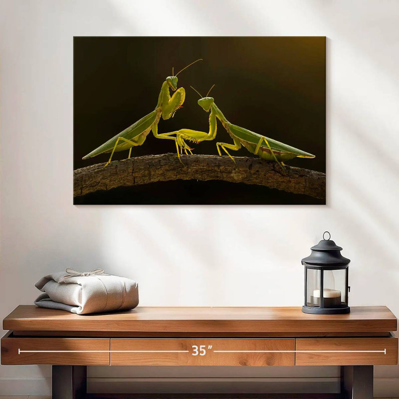 Brampt Praying Mantis Duo, 16" H x 24" W