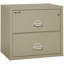 Fireproof 2 - Drawer File Cabinet-331546-217203