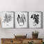 B&W d'intérieur plante IV - ensemble de 3 peintures sur toile encadrées-524709915-524709913