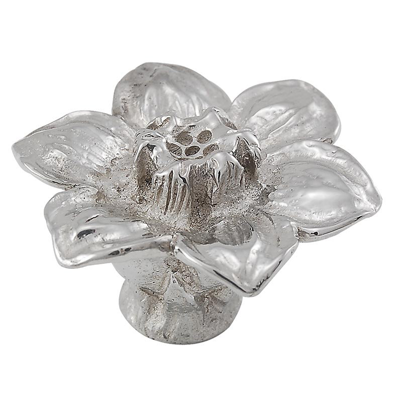 Carlotta Novelty Knob, Polished Silver