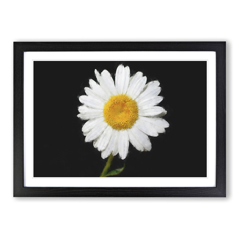 White Daisy Vol.6 Painting - Picture Frame Graphic Art, Black, 27cm H x 36cm W x 2cm D