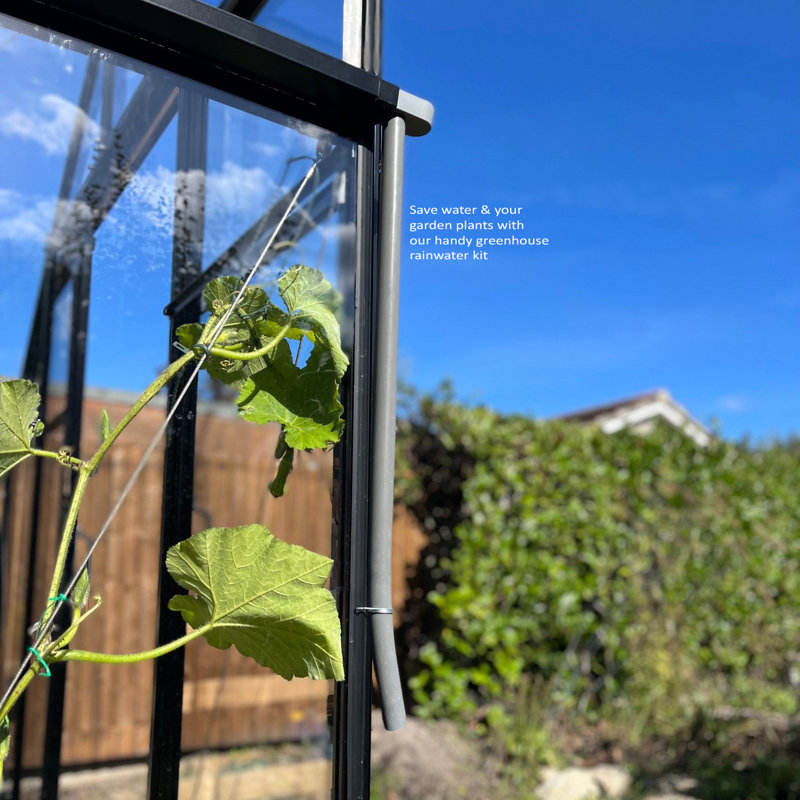 Watering Maintenance