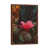 Classic Brown Wood Framed