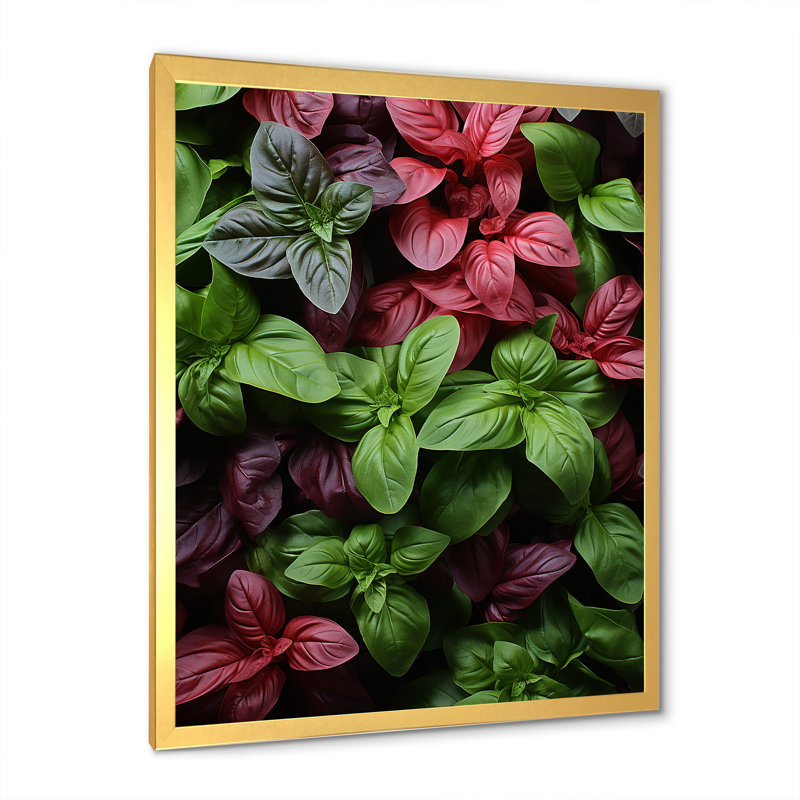 Herbes Basil Vibrance 2 - Art floral herbes murales, Cadre doré simple, H 44 po x l 34 po x P 1,5 po