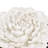 D7.3X2.8" Handmade Cream Ceramic Flower Wall Decor Accent