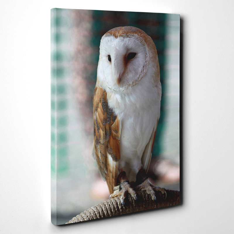 Wrapped Canvas Print, 50cm H x 35cm W