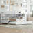 Modern Style Twin Size Day Bed With Twin Size Trundle, Daybed With Storage Shelf And USB Charging Ports-1189330177-1189330206