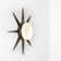 1 - Light LED Flush Mounted Sconce