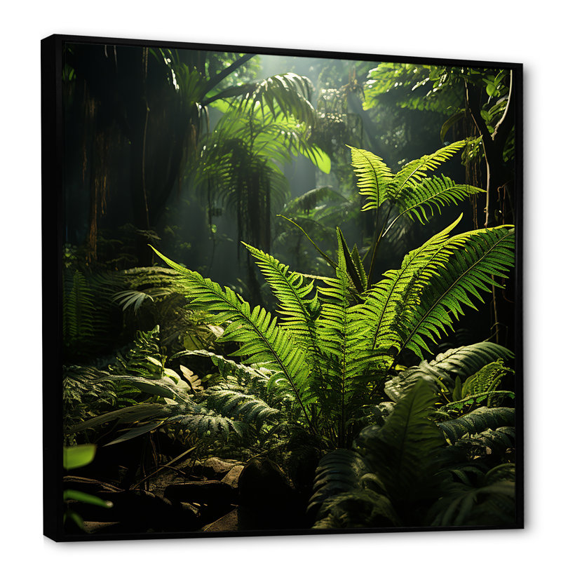 Jungle Ferns Delight sur impression sur toile, Cadre flottant noir, H 24 po x l 24 po x P 1 po