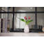Ensemble de 12 tulipes roses dans un vase en céramique blanche de style bohème - paquet de 3